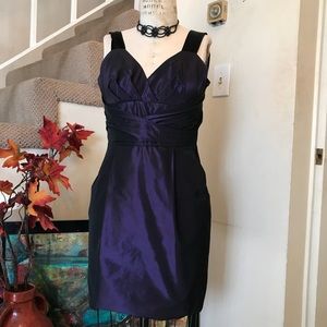 Banana Republic Woman’s Mini Dress SZ 4